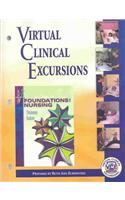 Virtual Clinical Excursions