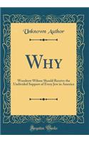 Why: Woodrow Wilson Should Receive the Undivided Support of Every Jew in America (Classic Reprint)