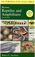 A Field Guide to Western Reptiles and Amphibians