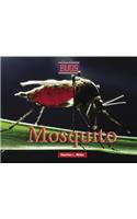 Mosquito