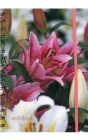 Notebook (Pink & White Iris)