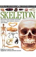 DK Eyewitness Guides:  Skeleton