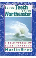 In the Teeth of the Northeaster