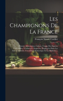 Les Champignons De La France