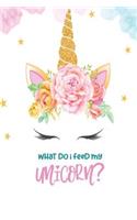 What Do I Feed My Unicorn