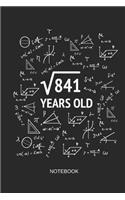 841 Years Old Notebook: Blank Lined Journal 6x9 - Square Root of 841 29th Birthday 29 Years Old Anniversary Math Gift Idea