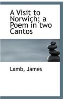 A Visit to Norwich; A Poem in Two Cantos