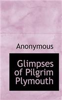 Glimpses of Pilgrim Plymouth: (English)