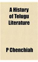 A History of Telugu Literature
