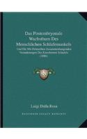 Postembryonale Wachsthum Des Menschlichen Schlafemuskels