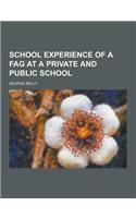 School Experience of a Fag at a Private and Public School
