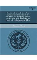 Cardiac Abnormalities After Transaortic Constriction Are Worsened by Changing Glucose Metabolism and Benefited by Repair of Mitochondrial DNA