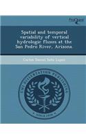 Spatial and Temporal Variability of Vertical Hydrologic Fluxes at the San Pedro River