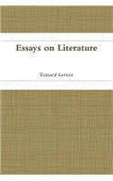 Essays on Literature
