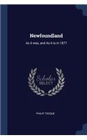 Newfoundland: As it was, and As it is in 1877