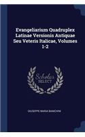 Evangeliarium Quadruplex Latinae Versionis Antiquae Seu Veteris Italicae, Volumes 1-2