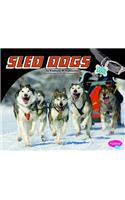 Sled Dogs