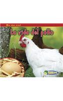 La Vida del Pollo