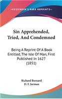 Sin Apprehended, Tried, and Condemned