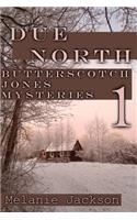 Due North: A Chloe Boston Mystery