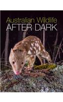 Australian Wildlife After Dark