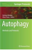 Autophagy