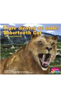 Tigre Dientes de Sable/Sabertooth Cat