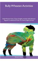 Bully Wheaten Activities Bully Wheaten Tricks, Games & Agility Includes