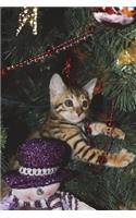 Christmas Kitten Journal: 150 page lined notebook/diary