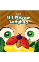 If I Were a Ladybug