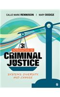 Introduction to Criminal Justice