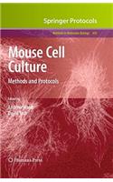Mouse Cell Culture