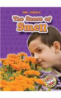 The Sense of Smell