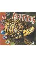 Reptiles