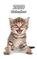 2020 Wochenplaner: Getigertes Kätzchen - 107 Seiten, 15cm x 23cm ca. A5 - Taschenkalender - Terminplaner - Tagebuch - Terminkalender - Organizer für Katzenliebhaber