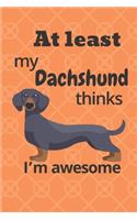 At least my Dachshund thinks I'm awesome