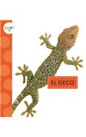 El Geco (Geckos): (Animales del Patio)