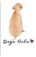 Dogs Rule