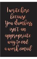 I Write Here Because You Dumbass Isn't an Appropriate Way to End a Work Email: Blank Lined Journal Notebook