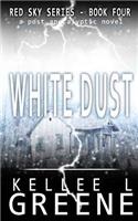 White Dust - A Post-Apocalyptic Novel