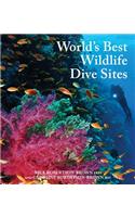 World's Best Wildlife Dive Sites