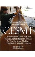 Ultimate Go-To Guide To Finding The Best CESMT