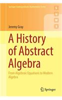 A History of Abstract Algebra