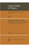 Dynamics of Wave Packets in Molecular and Nuclear Physics: Proceedings of the International Meeting Held in Priorij Corsendonck, Belgium July 2-4, 1985