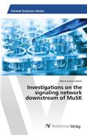 Investigations on the signaling network downstream of MuSK