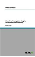 Zeitwahrnehmung Beim Säugling - Kreuzmodale Wahrnehmung