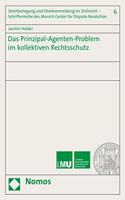 Das Prinzipal-Agenten-Problem Im Kollektiven Rechtsschutz