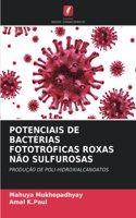 Potenciais de Bactérias Fototróficas Roxas Não Sulfurosas