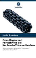 Grundlagen und Fortschritte bei Kohlenstoff-Nanoröhrchen