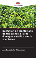 Détection de plantations de thé saines à l'aide d'images satellite multi-spectrales